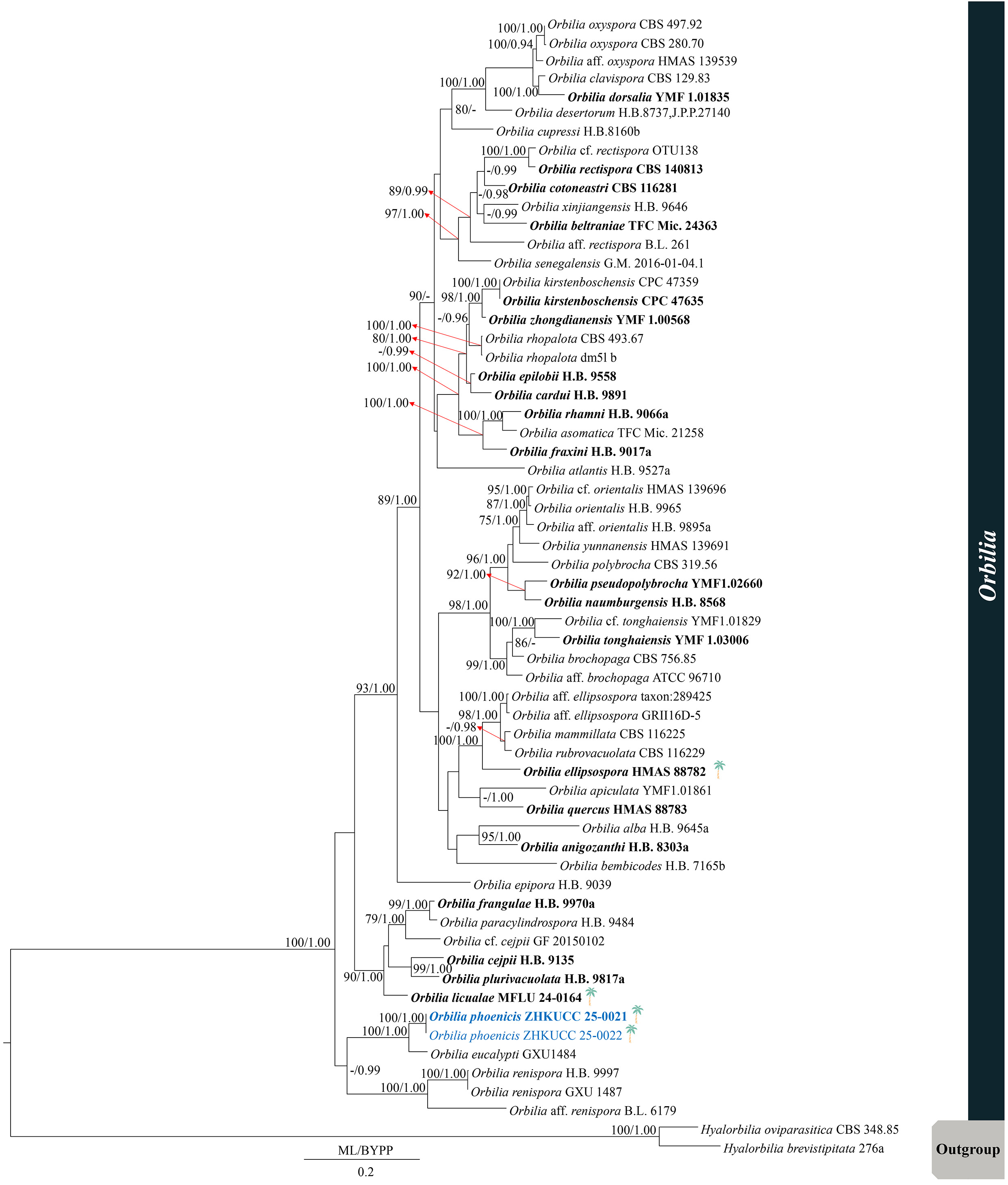 Figure 65